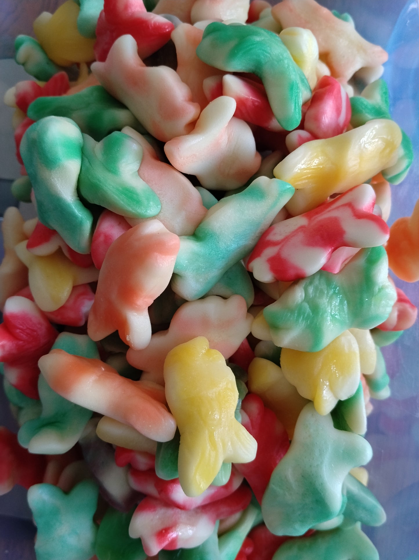 Poisson Dulceplus lisse
