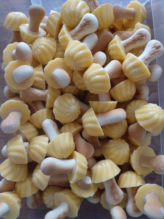 Champignon au chocolat à la banane (100g)