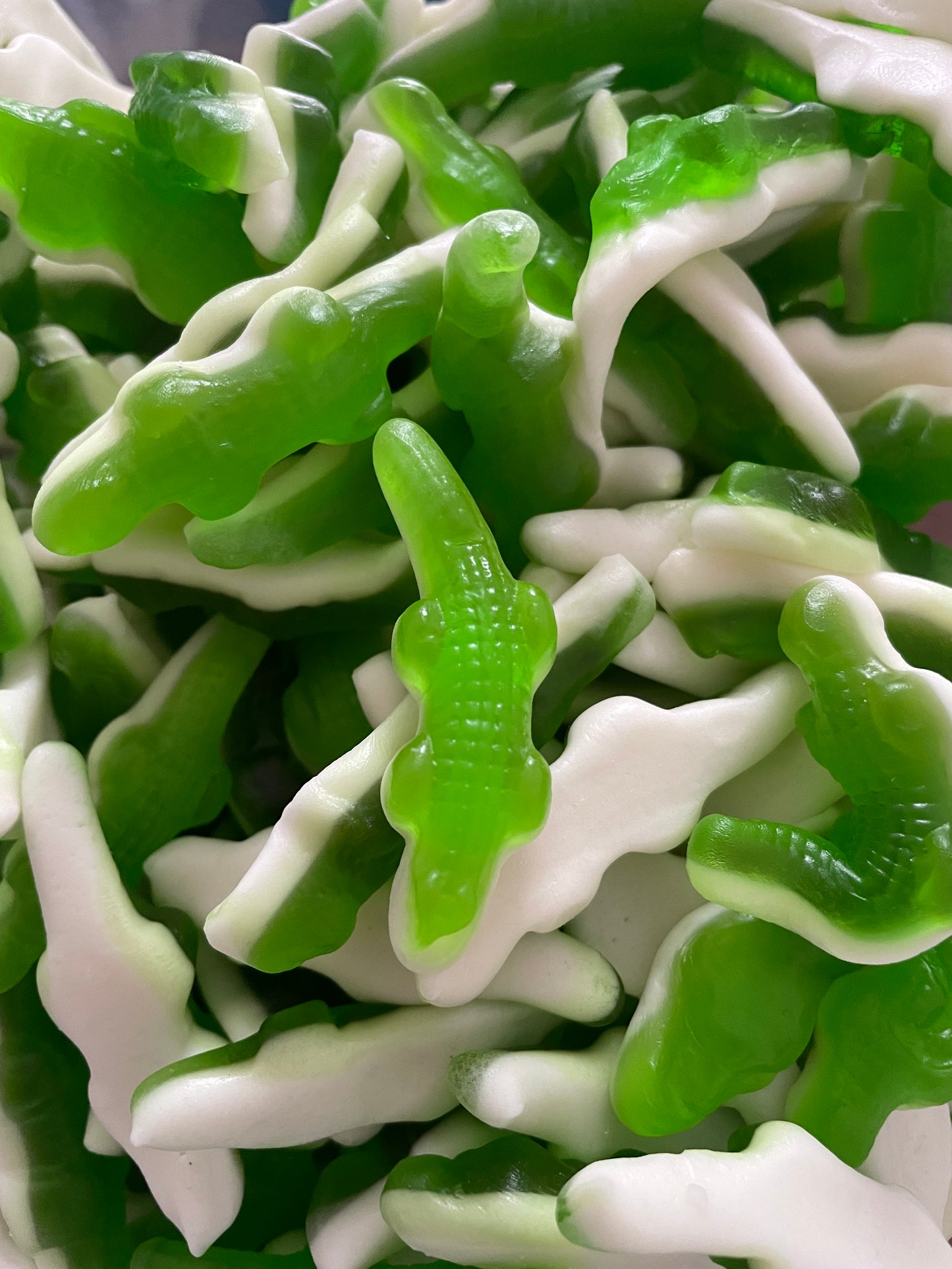 Crocodile vert lisse (100g)